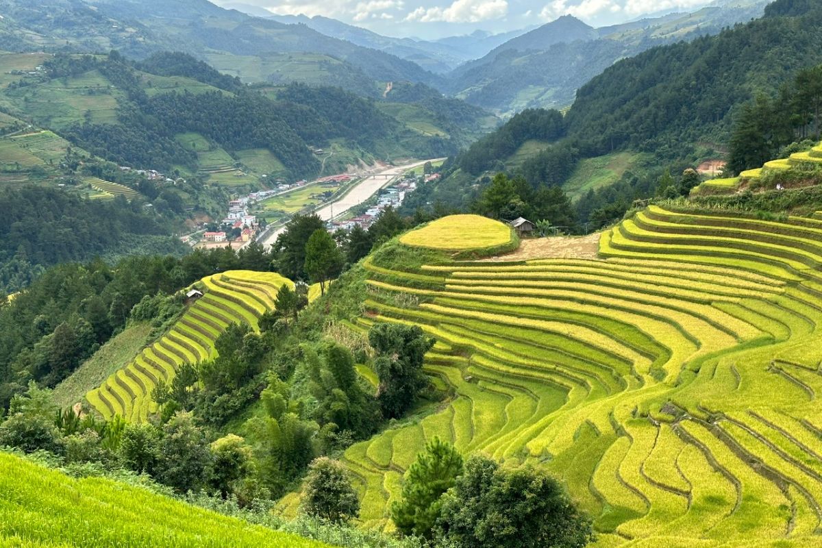 Mu Cang Chai Vietnam